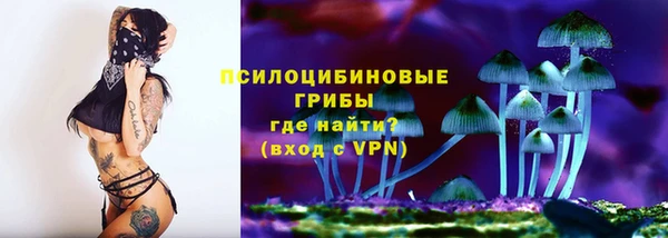 мяу мяу кристалл Корсаков