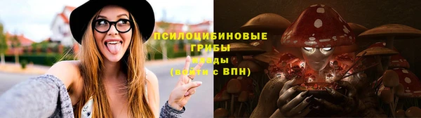 мяу мяу кристалл Корсаков