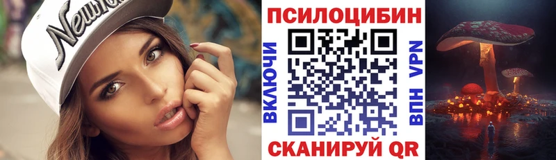Галлюциногенные грибы Cubensis  Купить где  Баксан 